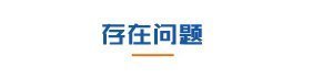 存在的問題